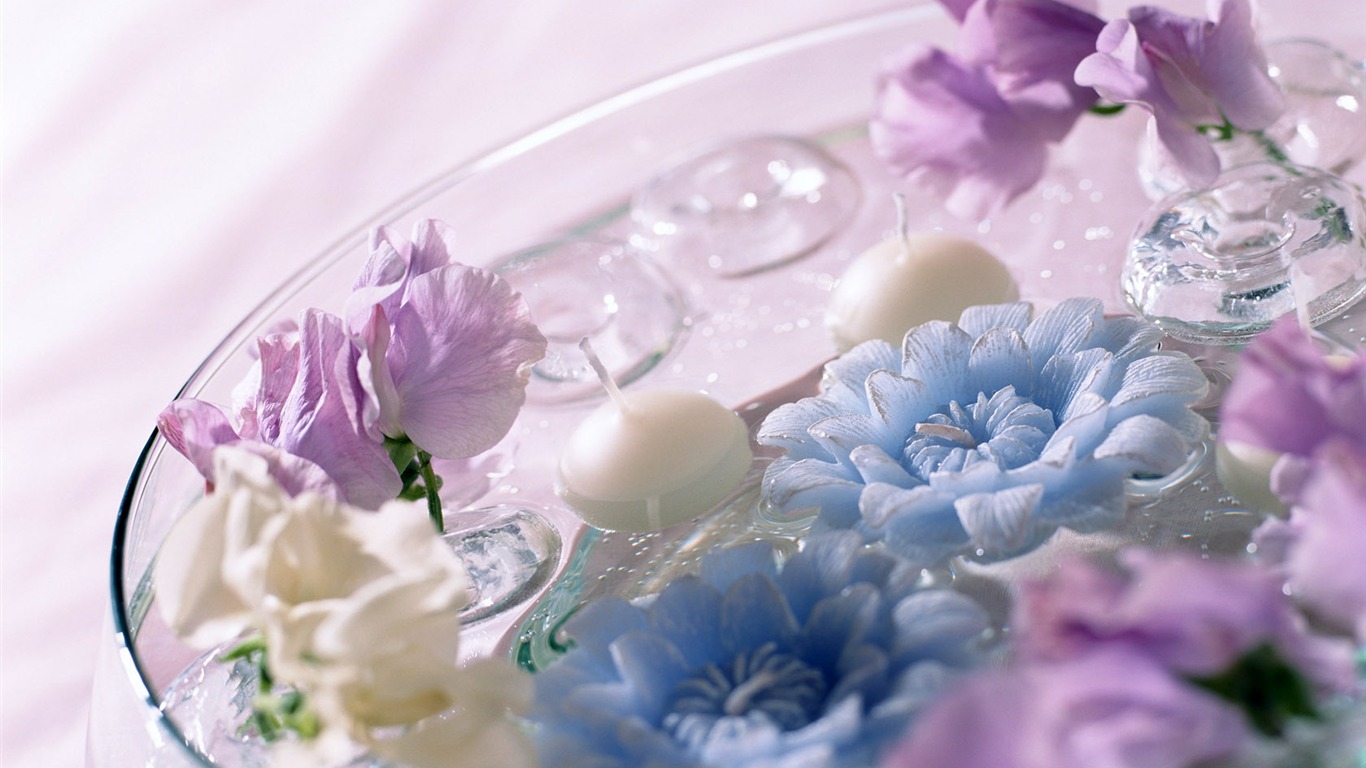 Flowers Widescreen Wallpaper #9 - 1366x768