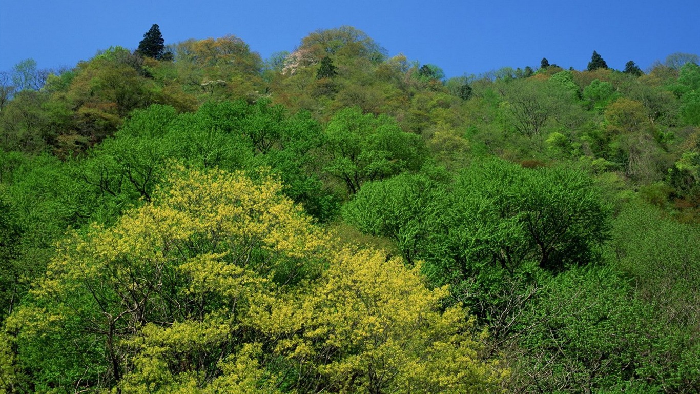 自然の風景(10)ハイライト #13 - 1366x768