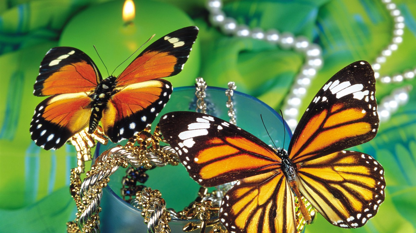 Butterflies and flowers wallpaper album (1) #11 - 1366x768