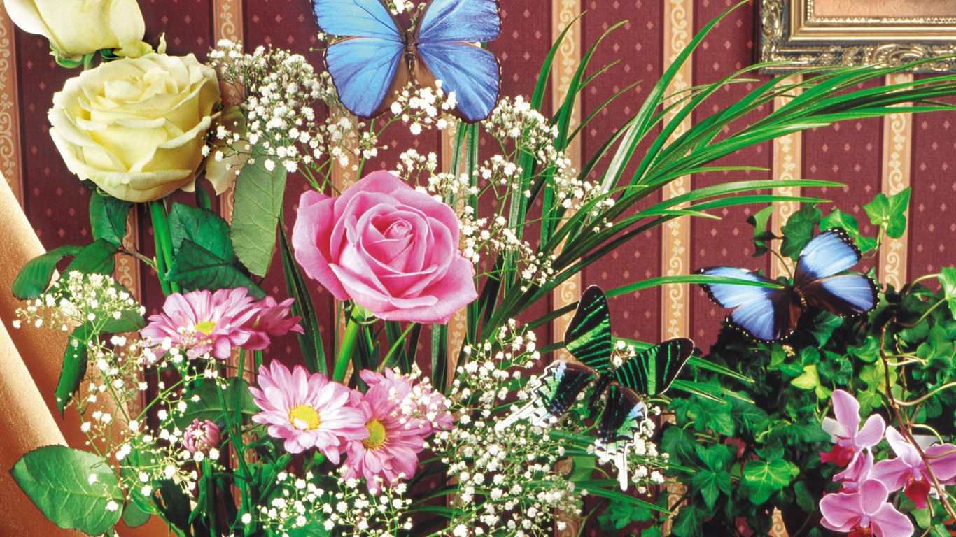 Schmetterlinge und Blumen Wallpaper Album (2) #18 - 1366x768