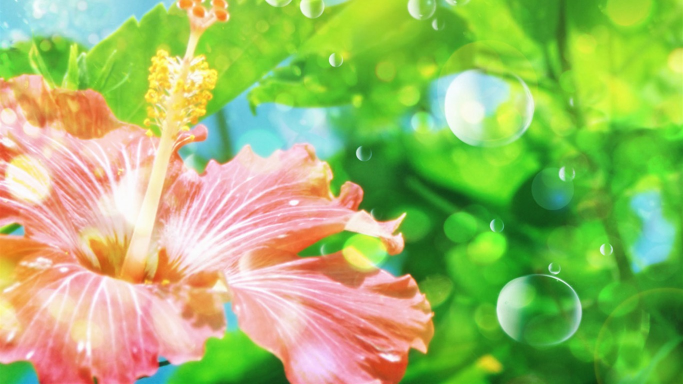 梦幻CG背景花卉壁纸1 - 1366x768