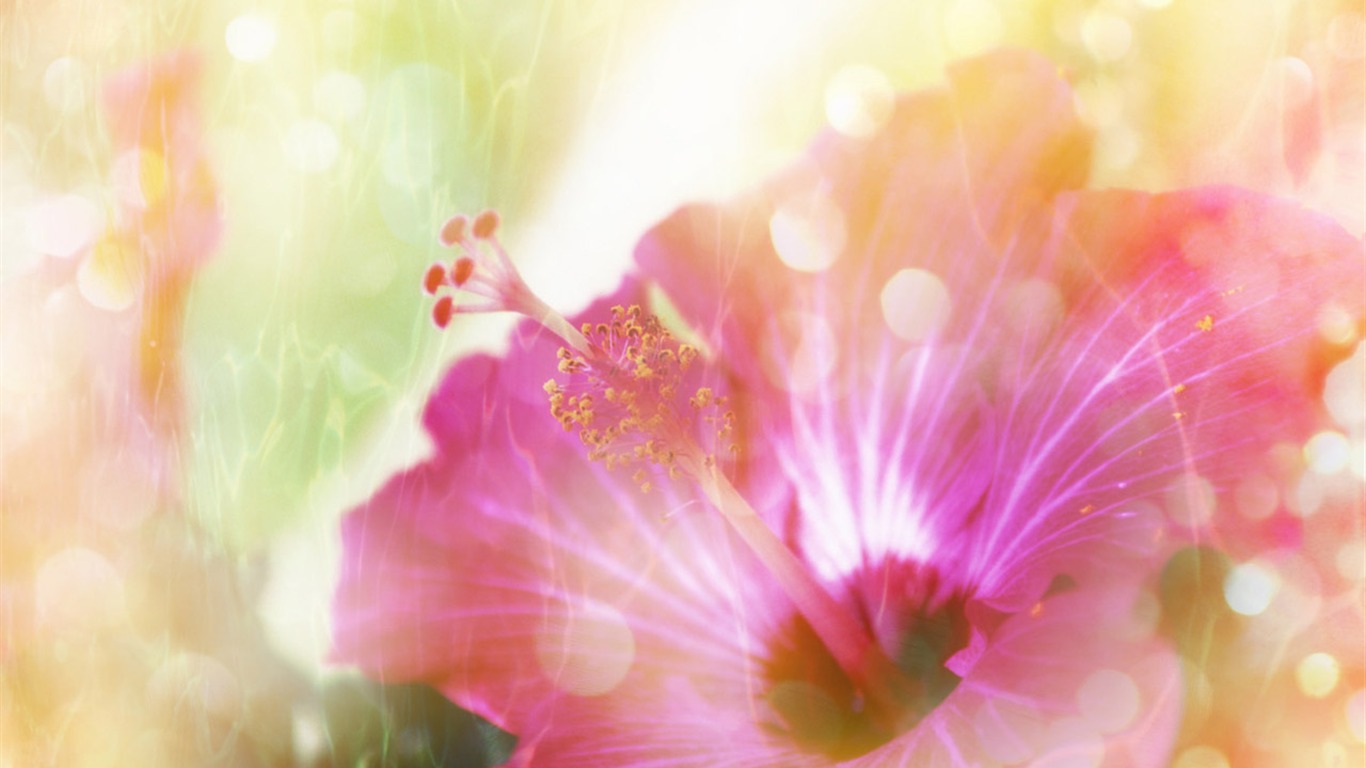 Fantasy CG Background Flower Wallpapers #18 - 1366x768