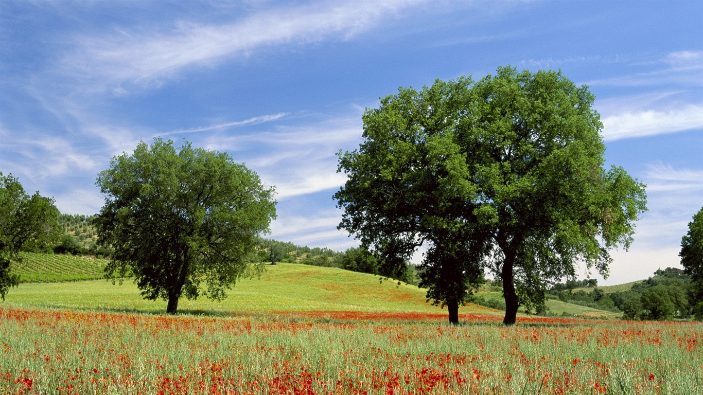 krásné přírodní scenérie Tapeta #1 - 1366x768