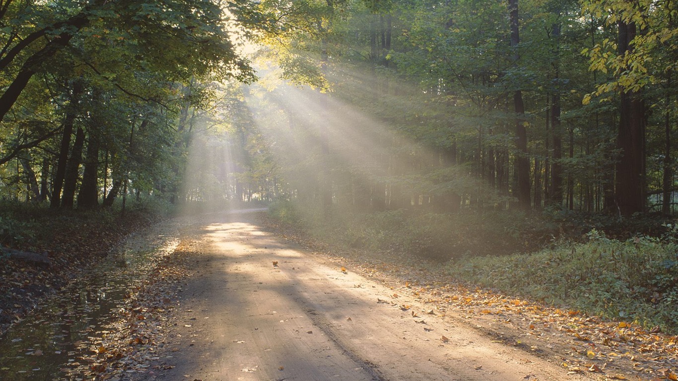 krásné přírodní scenérie Tapeta #3 - 1366x768