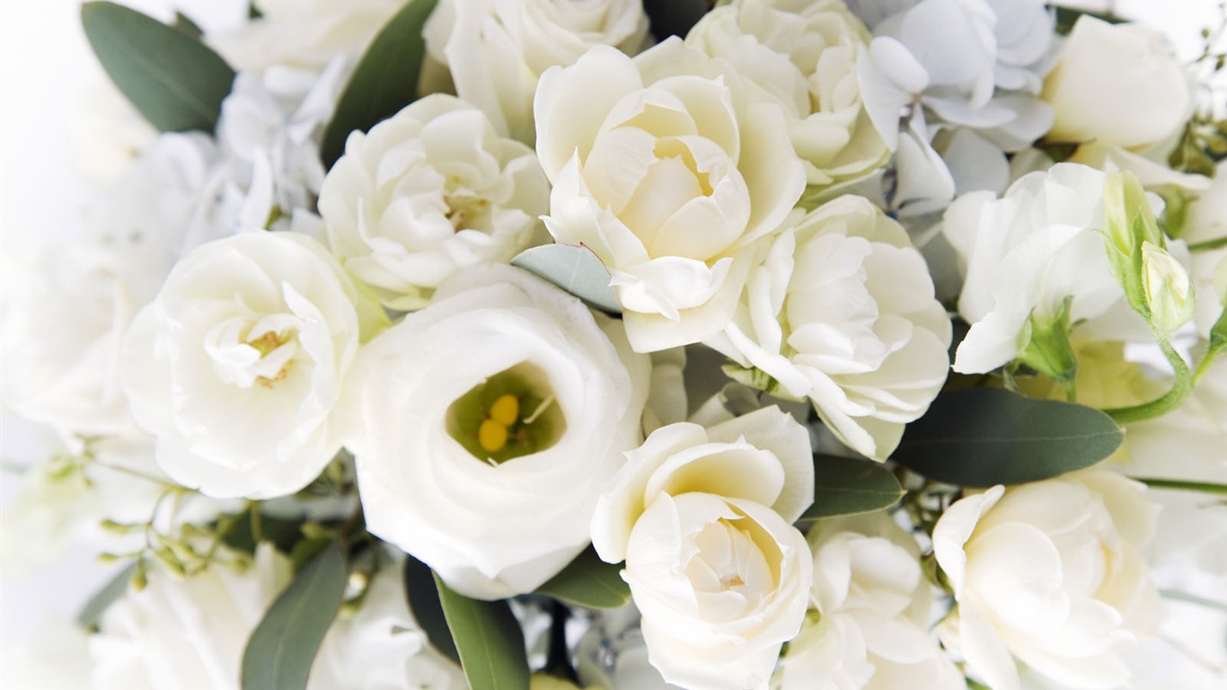 Свадебные цветы стола (3) #9 - 1366x768