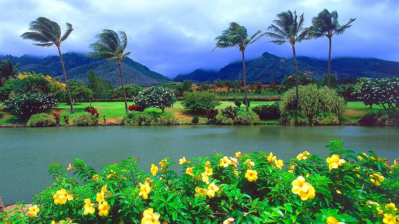 Beau paysage de Hawaii Fond d'écran #10 - 1366x768