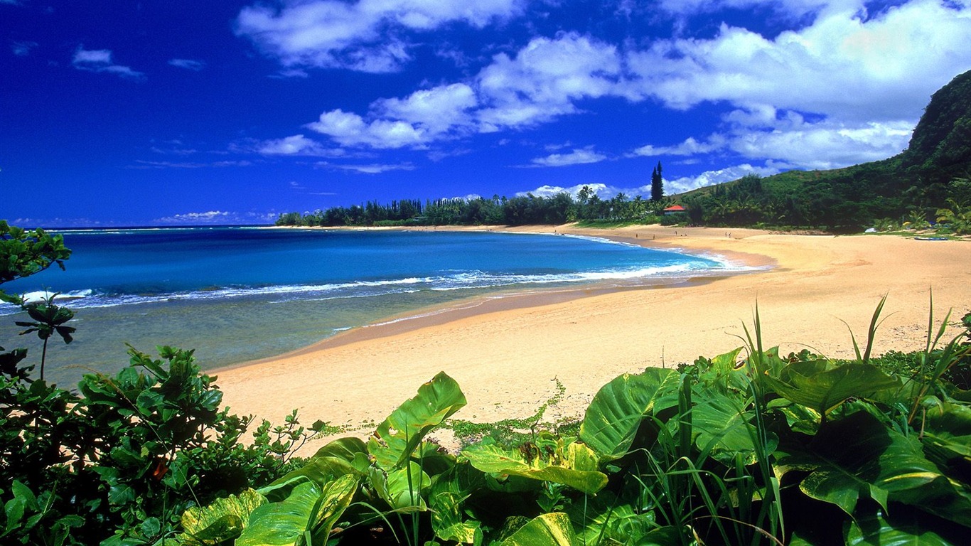 夏威夷風光精美壁紙 #11 - 1366x768