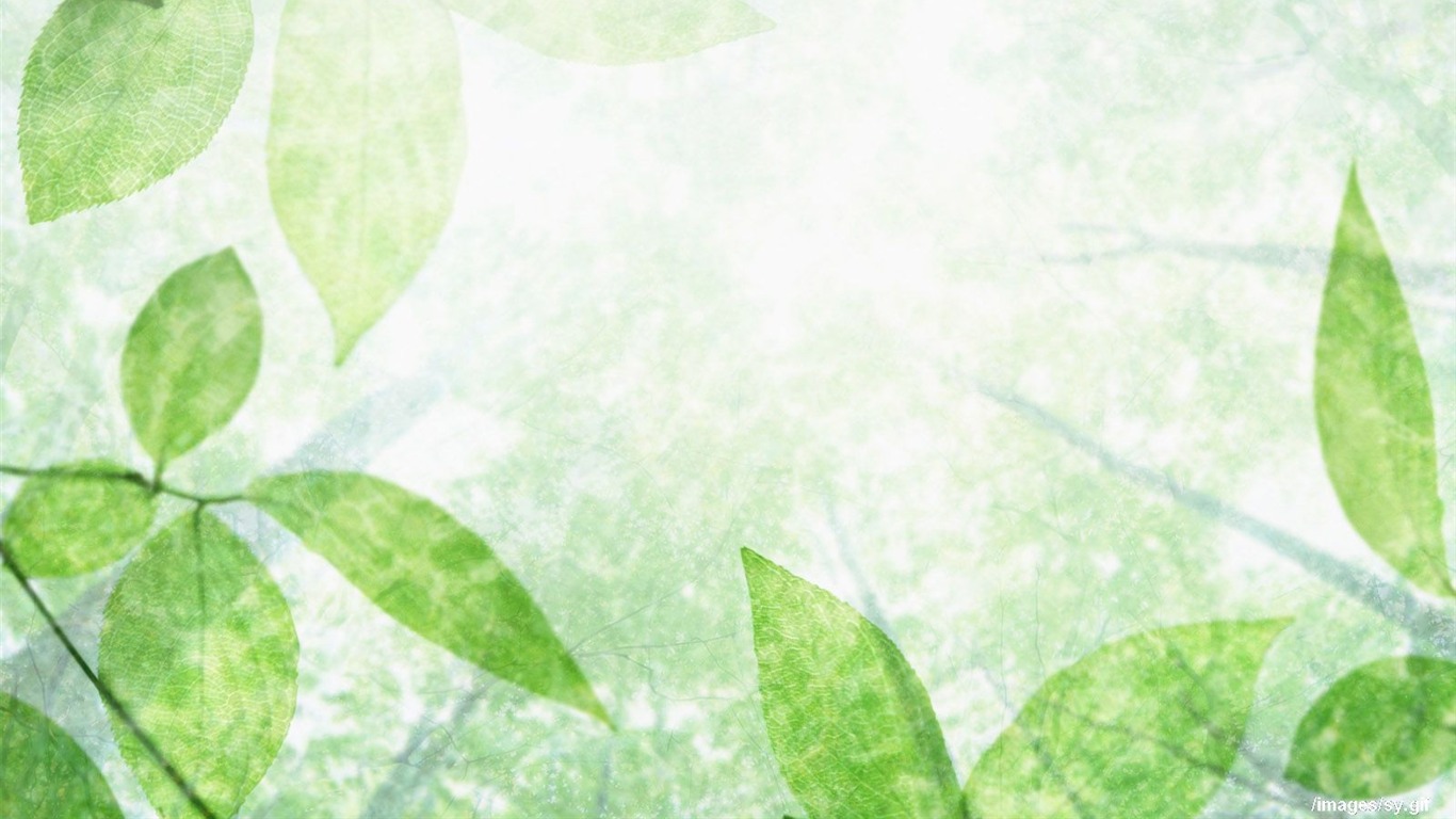 Watermark fresh green leaf wallpaper #11 - 1366x768