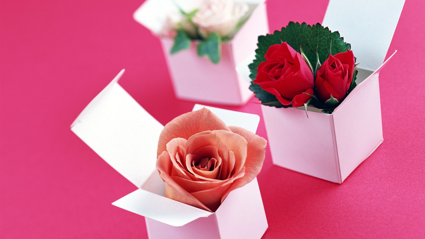 Flowers and gifts wallpaper (1) #1 - 1366x768