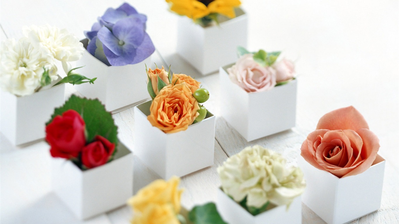 Flowers and gifts wallpaper (1) #2 - 1366x768