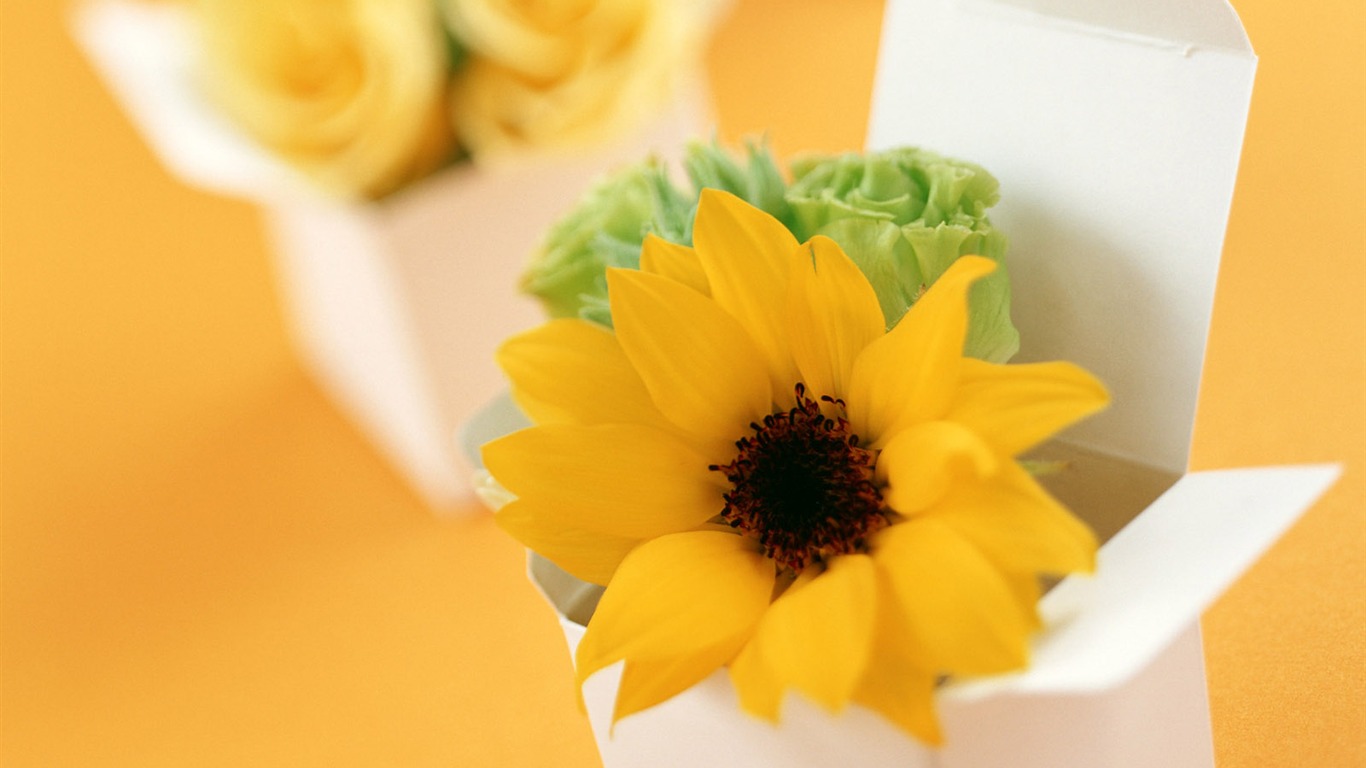 Flowers and gifts wallpaper (1) #5 - 1366x768