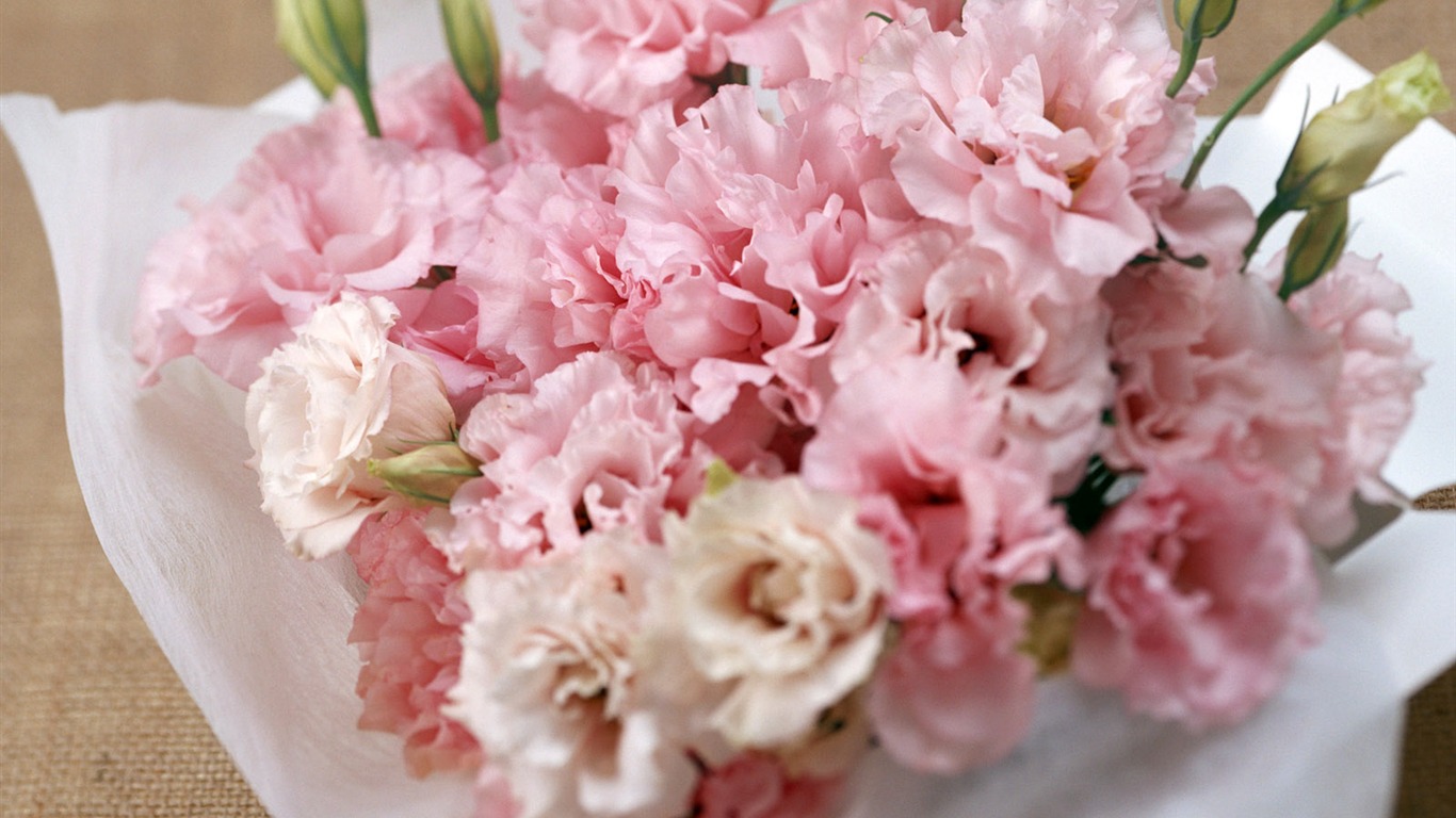 Flowers and gifts wallpaper (1) #6 - 1366x768