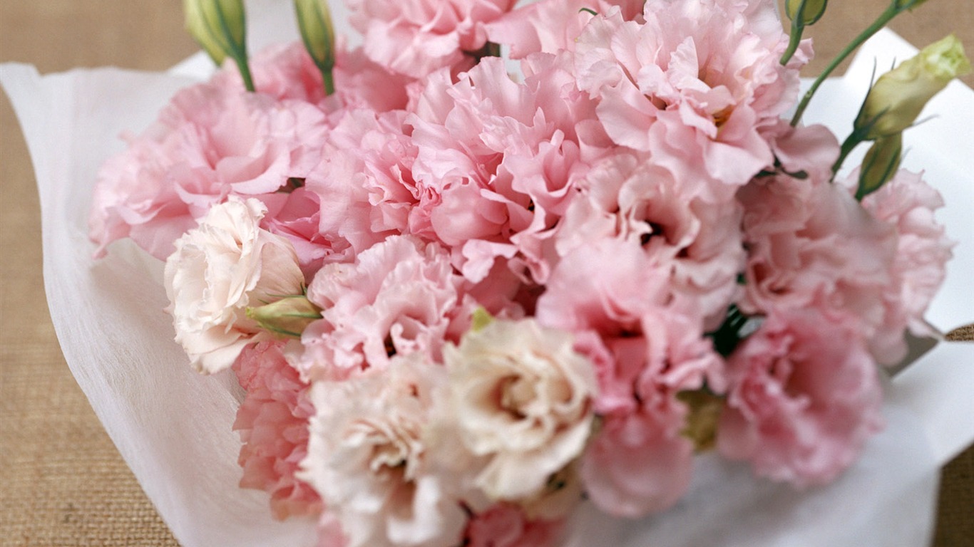 Blumen und Geschenke Wallpaper (1) #6 - 1366x768