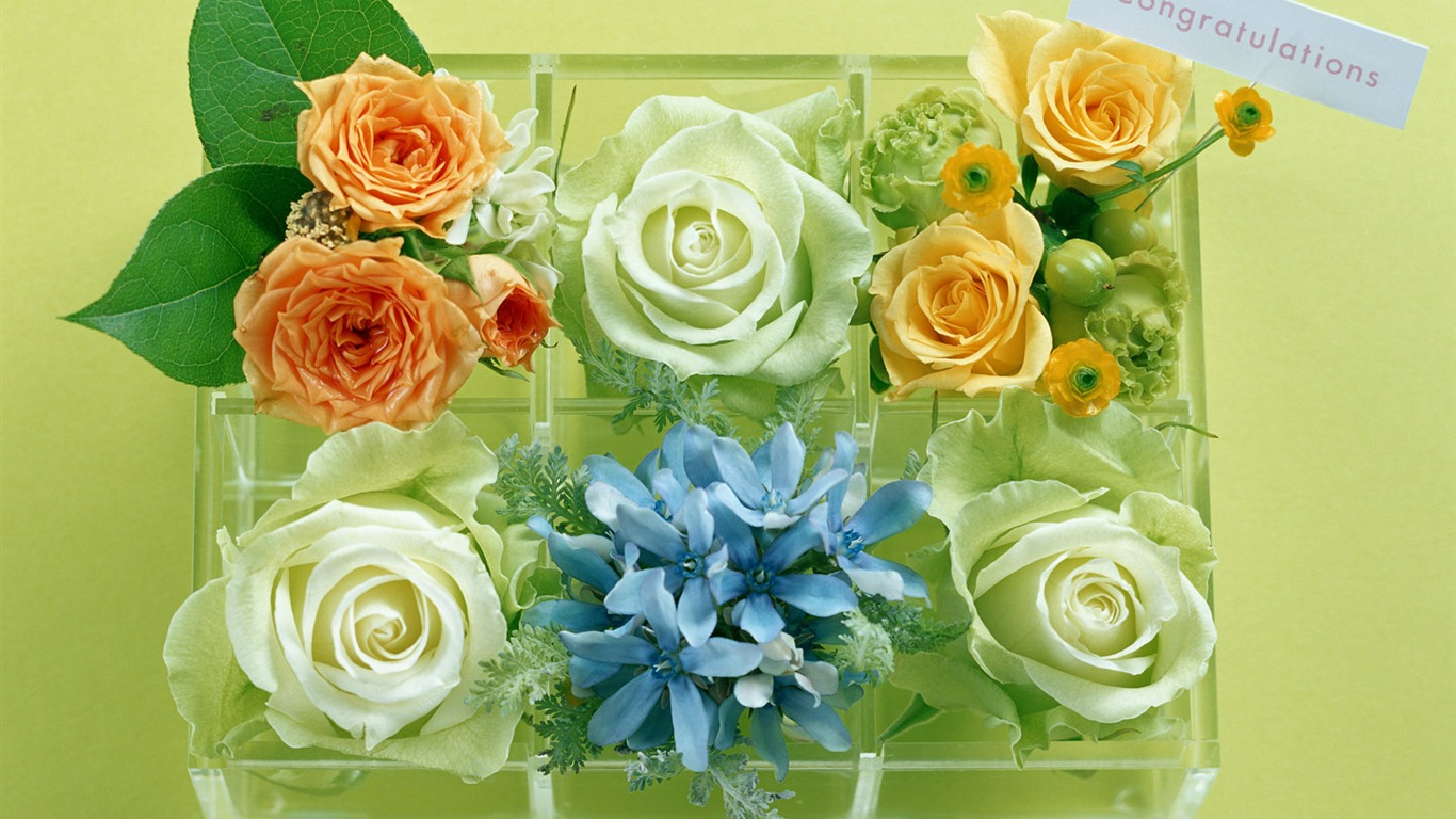 Flowers and gifts wallpaper (1) #8 - 1366x768