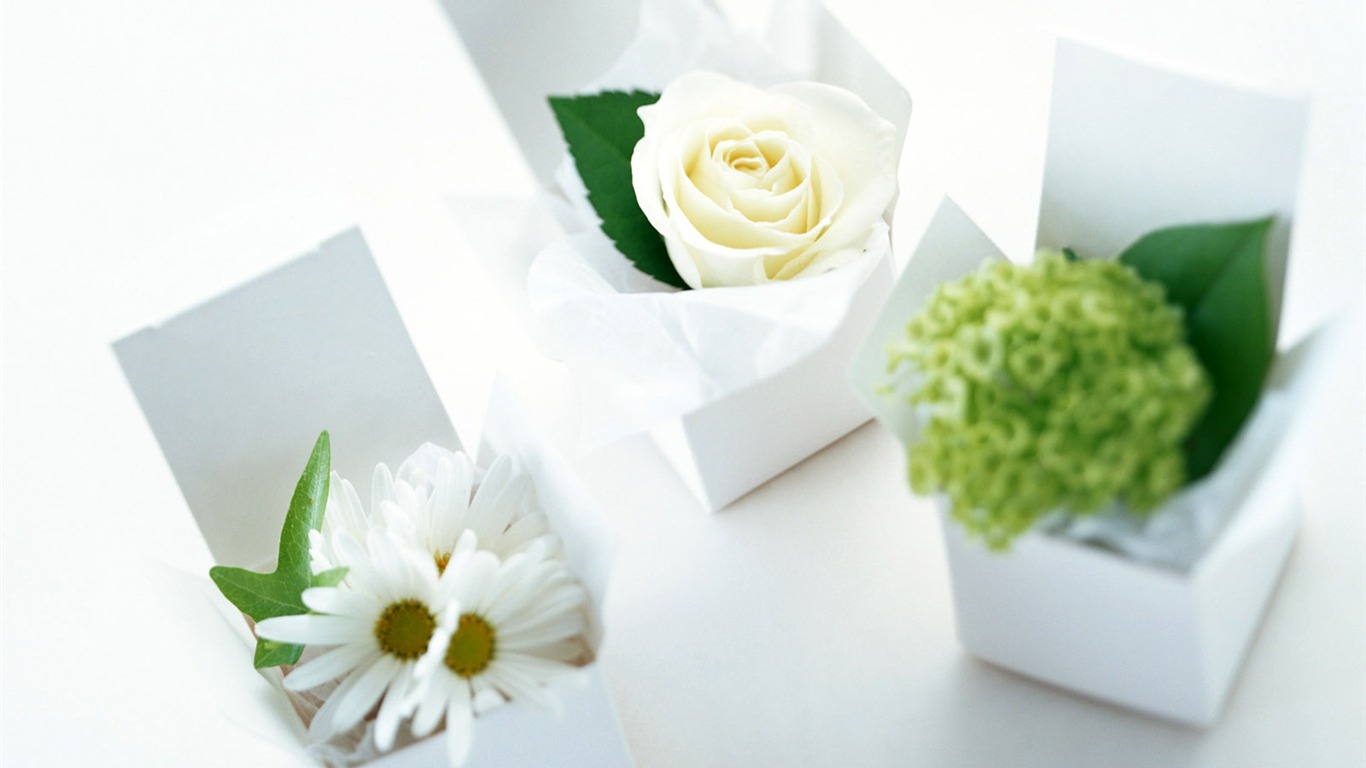 Flowers and gifts wallpaper (1) #16 - 1366x768