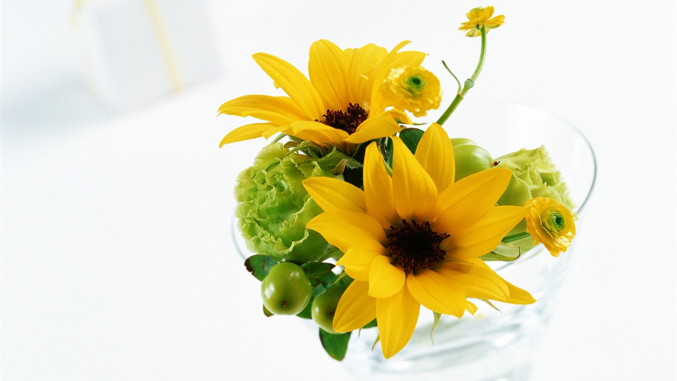 Blumen und Geschenke Wallpaper (1) #17 - 1366x768