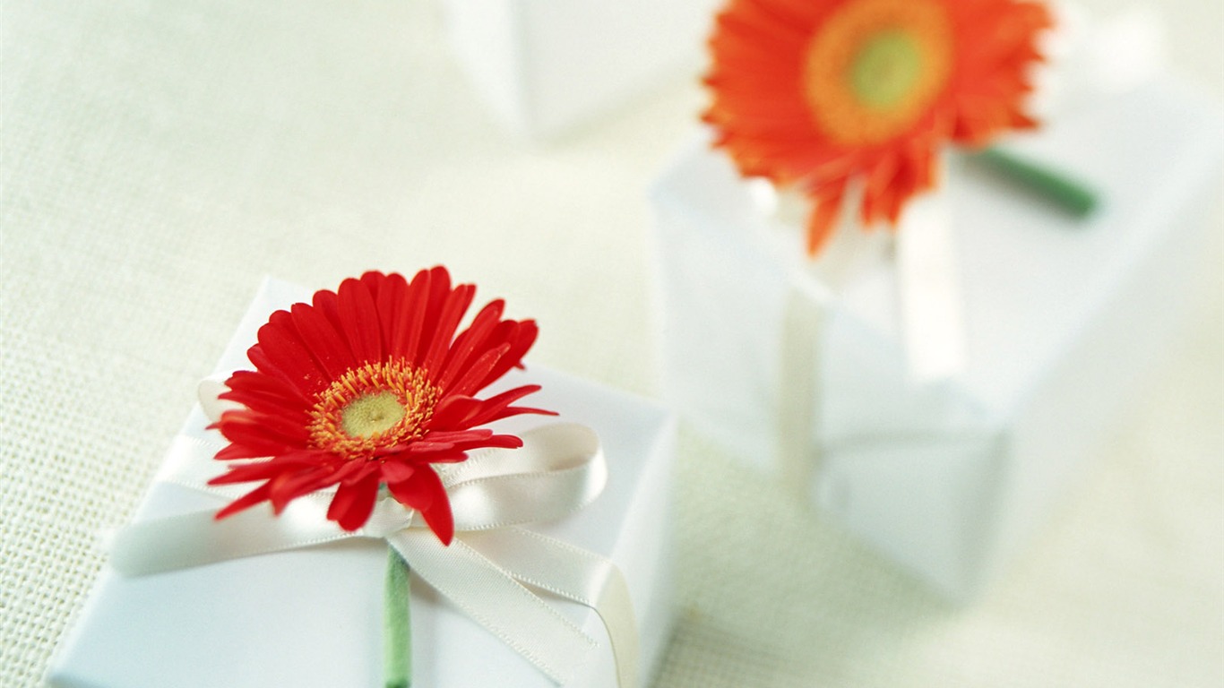 Flowers and gifts wallpaper (1) #18 - 1366x768