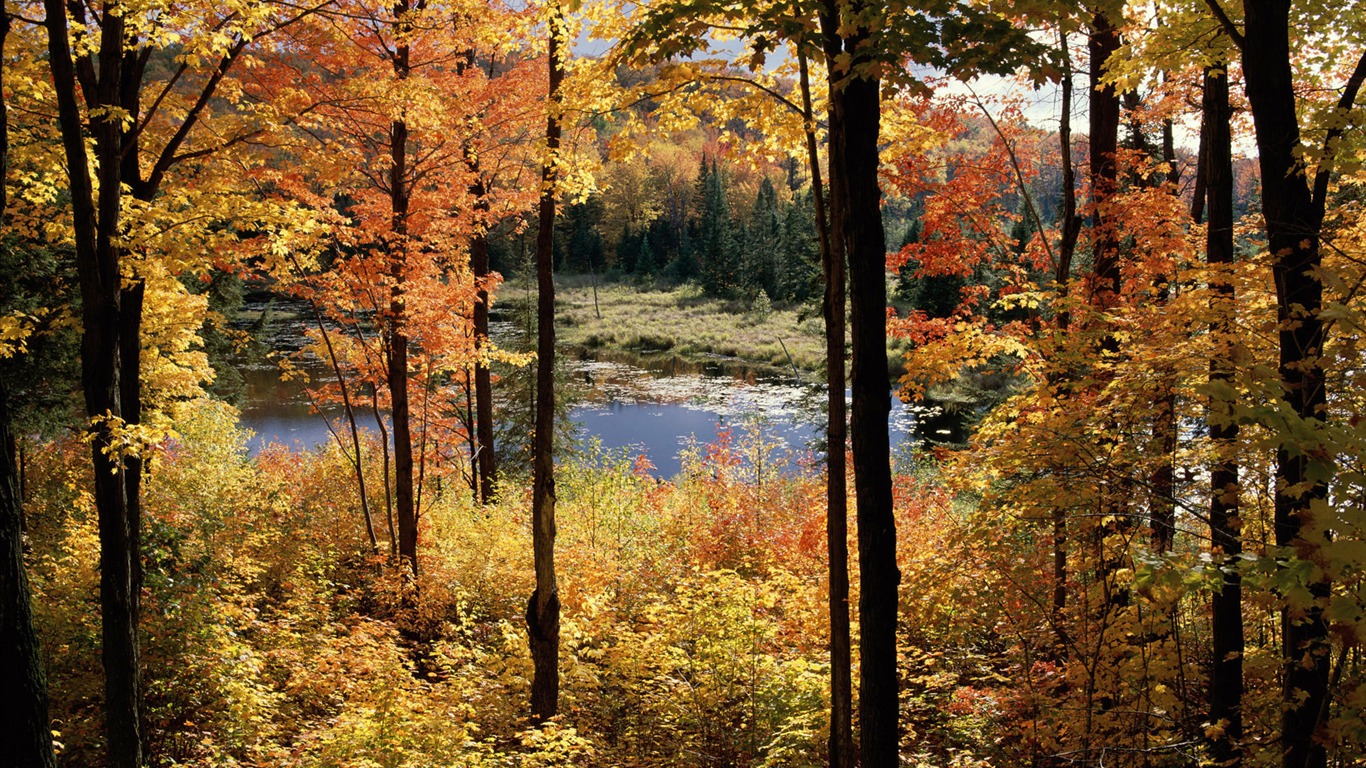 Wallpaper paisaje canadiense HD (2) #15 - 1366x768