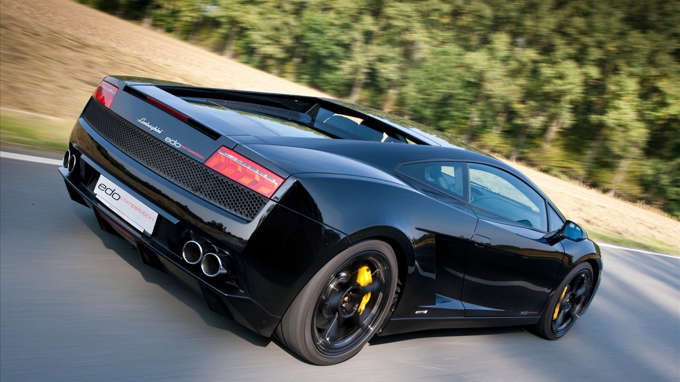 2010 Lamborghini обои #17 - 1366x768