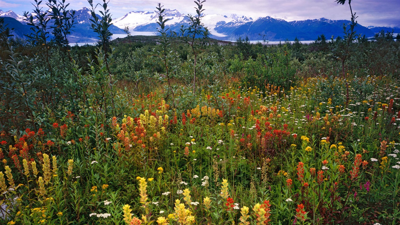 Alaska Landschaft Wallpaper (1) #16 - 1366x768