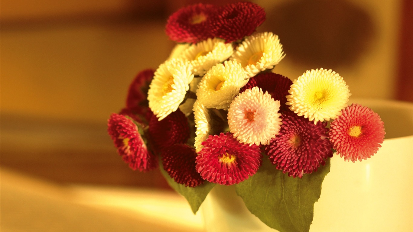 Widescreen wallpaper flowers close-up (3) #19 - 1366x768