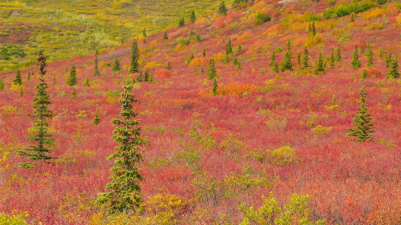 Alaska Landschaft Wallpaper (2) #2 - 1366x768