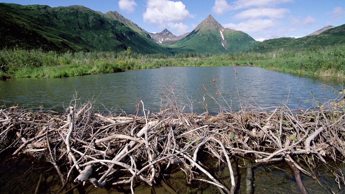Fondos de escritorio de paisajes de Alaska (2) #9 - 1366x768