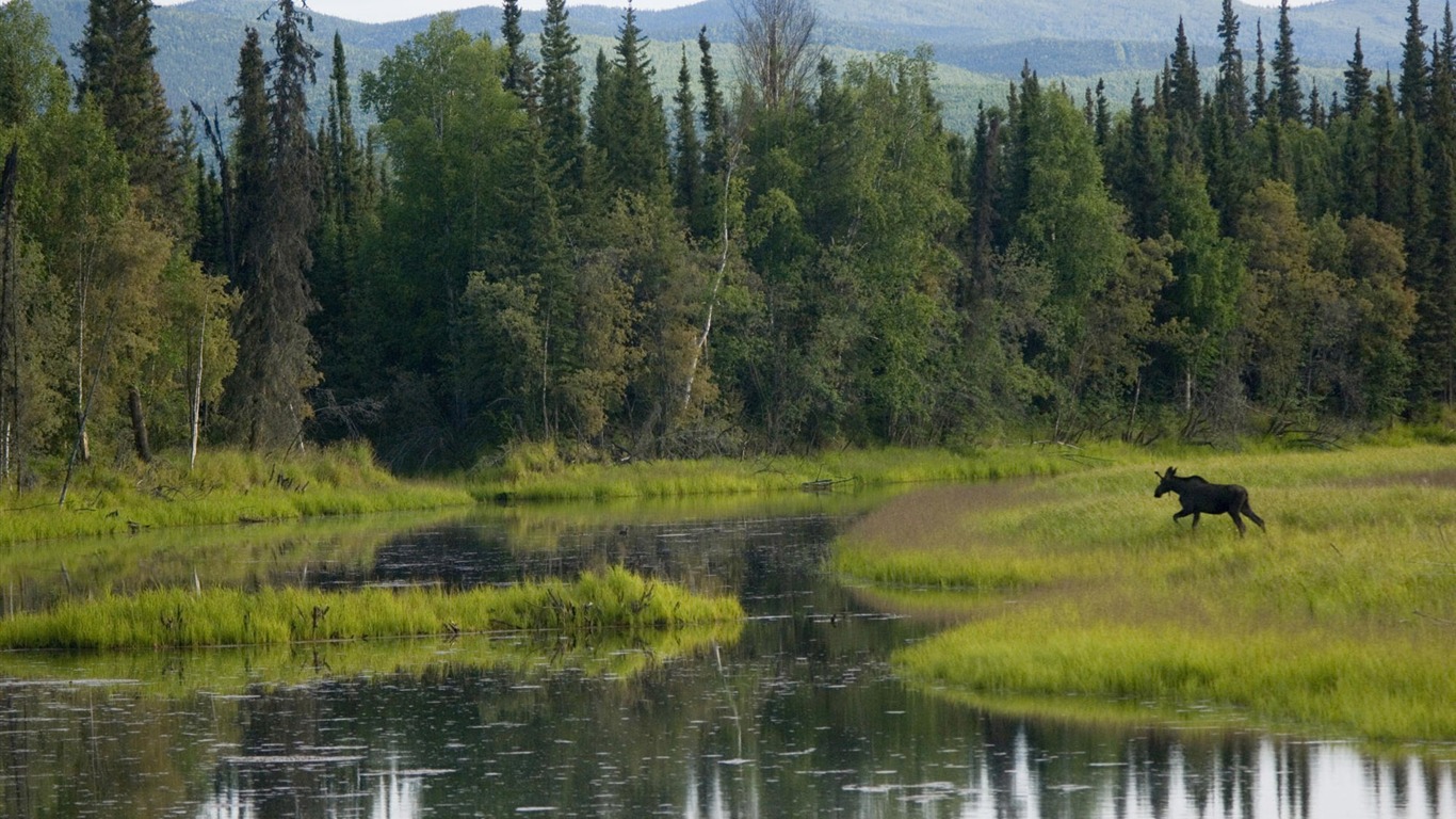 Fondos de escritorio de paisajes de Alaska (2) #14 - 1366x768