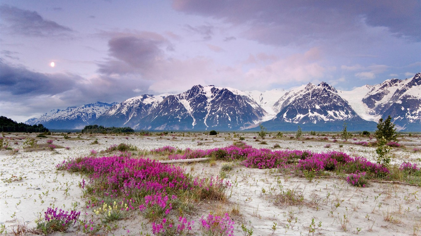 Fondos de escritorio de paisajes de Alaska (2) #18 - 1366x768