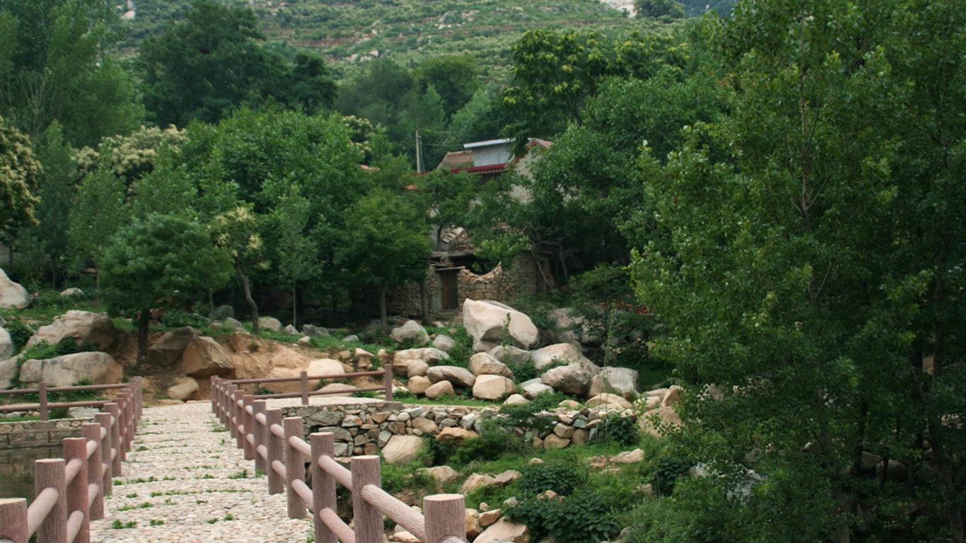 Lugar de nacimiento de montaña Song (Minghu obras Metasequoia) #6 - 1366x768