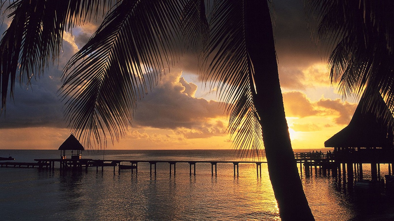 Fond d'écran Island Beach (2) #9 - 1366x768