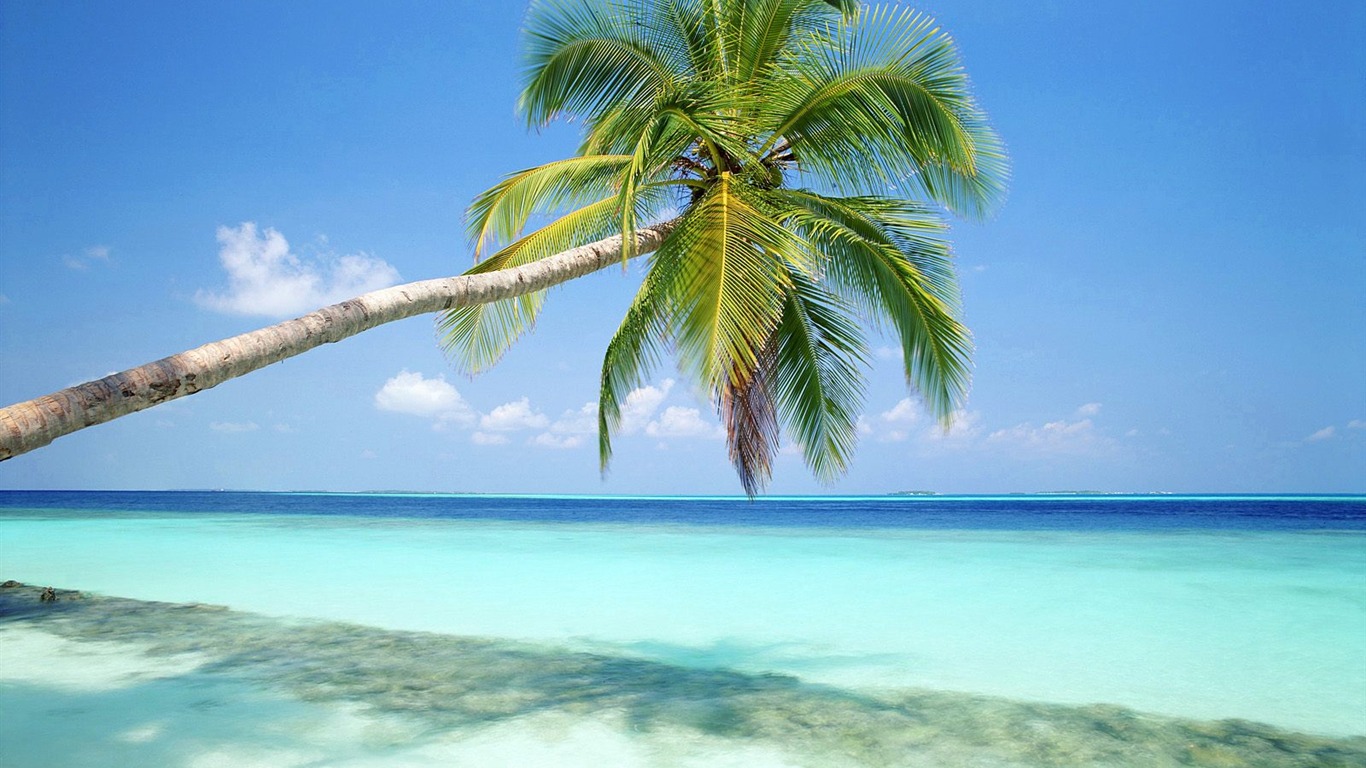 Beach Insel Wallpaper (2) #27 - 1366x768