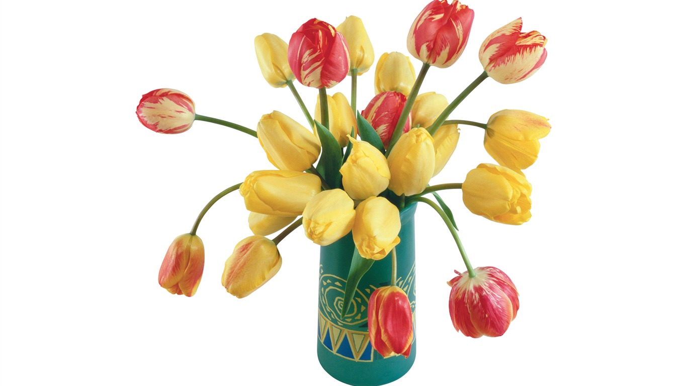 Velký tulipán tapetu (3) #16 - 1366x768