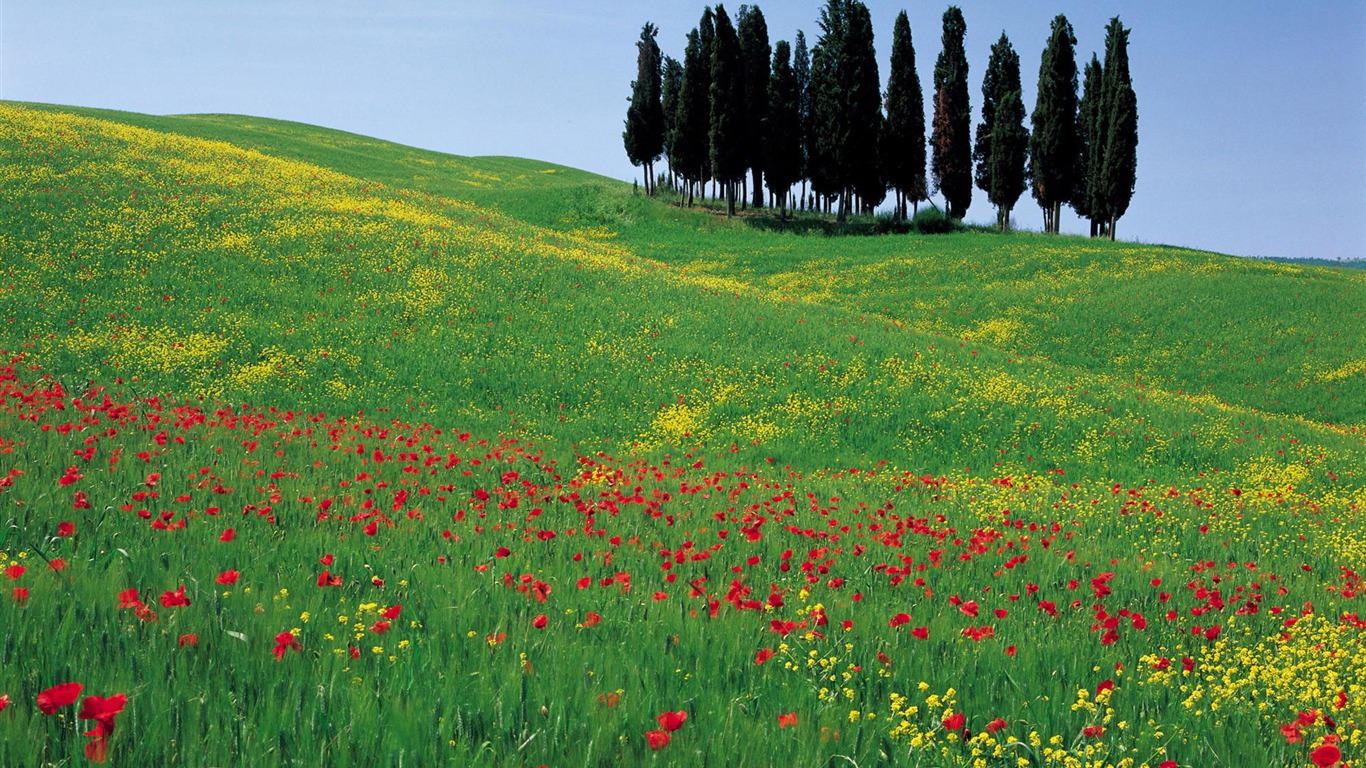 Italienische Landschaft Wallpaper (1) #19 - 1366x768