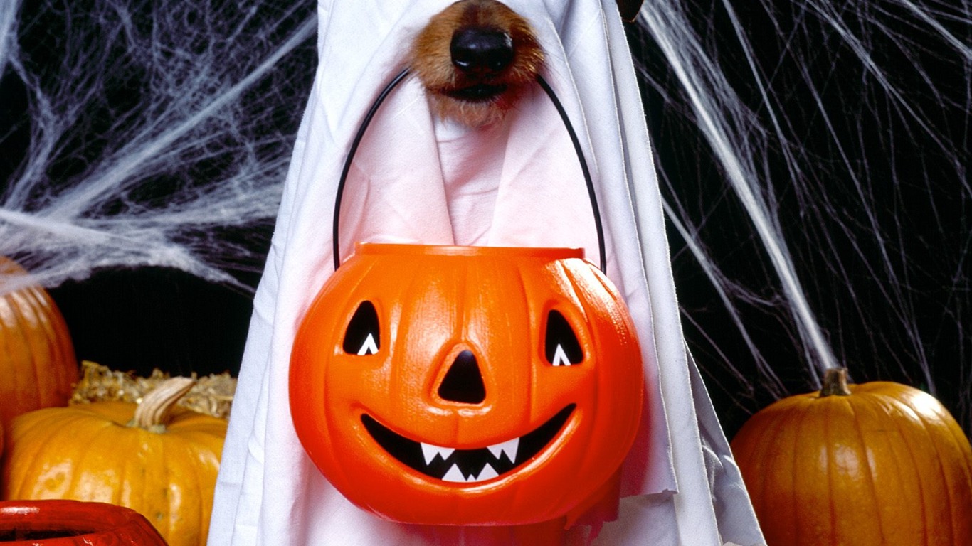 Fonds d'écran thème de l'Halloween (1) #1 - 1366x768