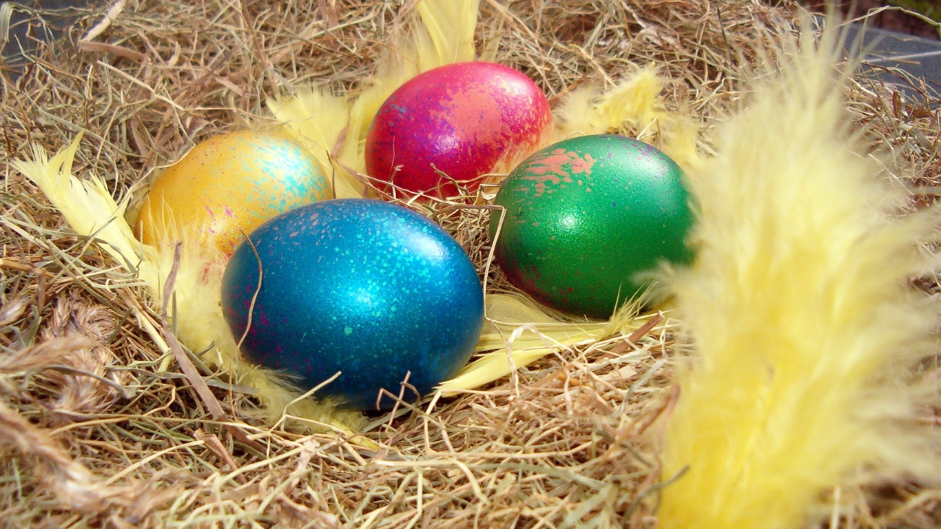 Velikonoční vajíčko tapetu (4) #1 - 1366x768