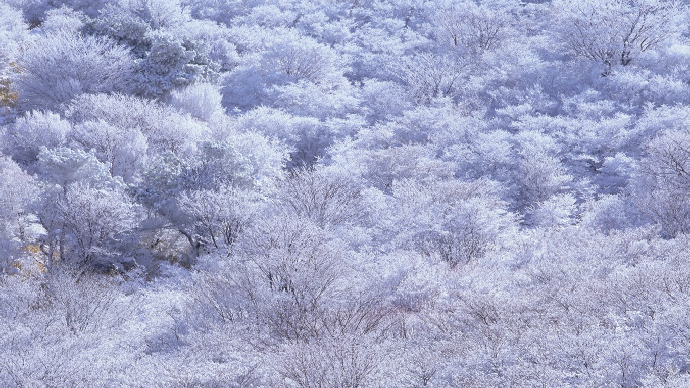 美丽如画 日本风景宽屏壁纸3 - 1366x768