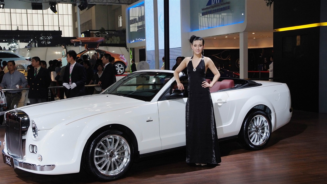 2010 Salón Internacional del Automóvil de Beijing Heung Che belleza (obras barras de refuerzo) #12 - 1366x768