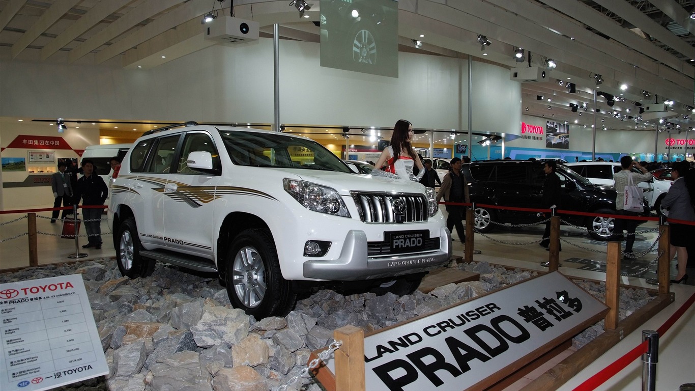 2010 Beijing International Auto Show Heung Che beauty (rebar works) #22 - 1366x768