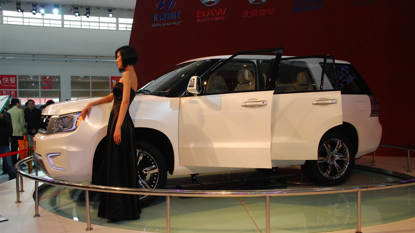 2010 Beijing International Auto Show (1) (z321x123 works) #15 - 1366x768