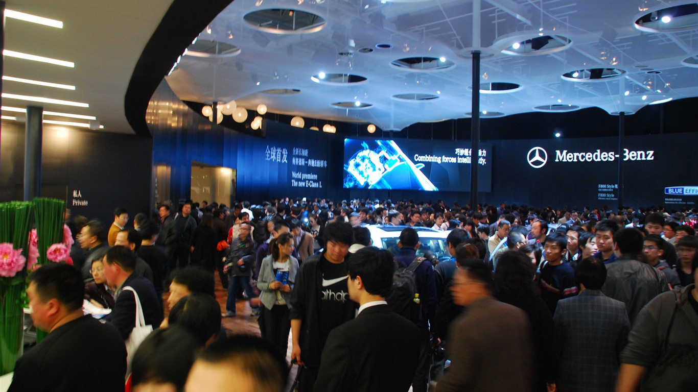 2010 Beijing International Auto Show (3) (z321x123 works) #11 - 1366x768