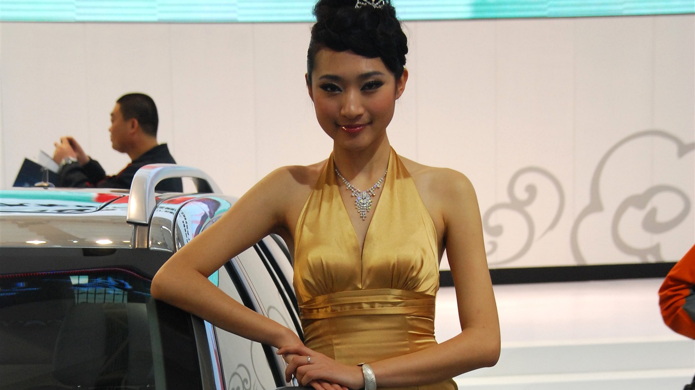 2010 Beijing International Auto Show (2) (z321x123 works) #6 - 1366x768