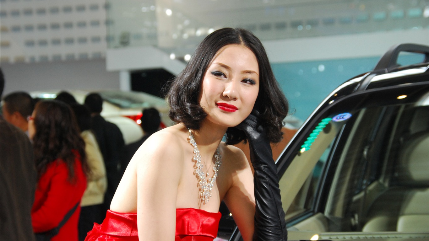 2010 Beijing International Auto Show (2) (z321x123 works) #10 - 1366x768