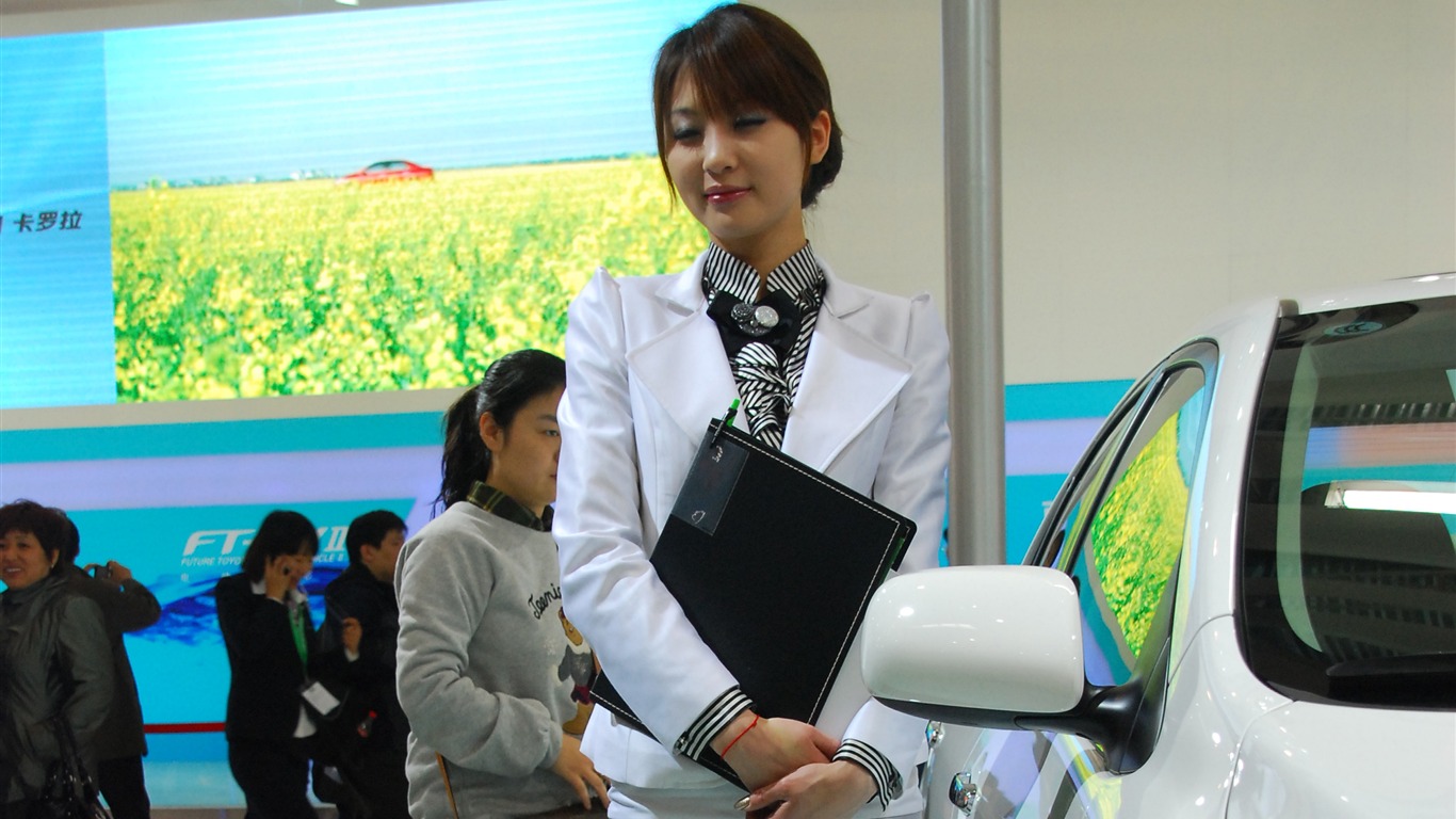 2010 Beijing International Auto Show (2) (z321x123 works) #18 - 1366x768