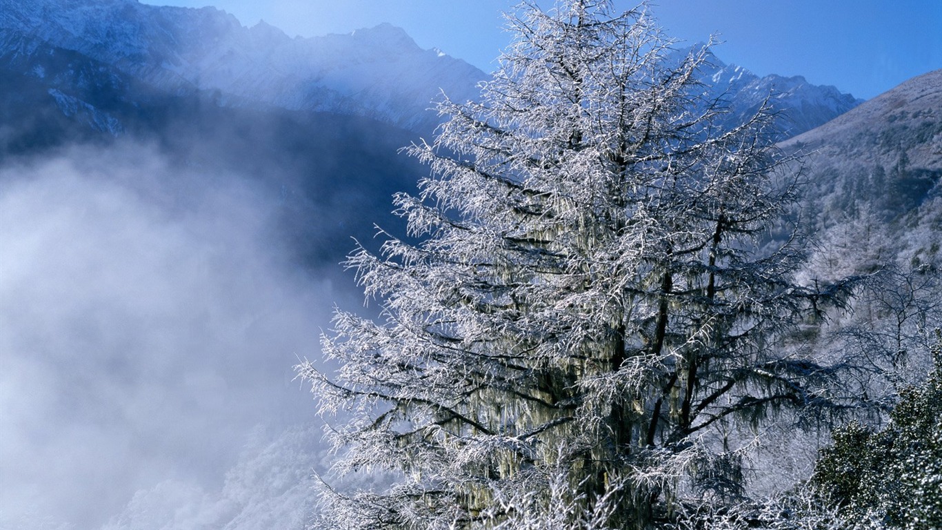 冬天雪景壁纸3 - 1366x768