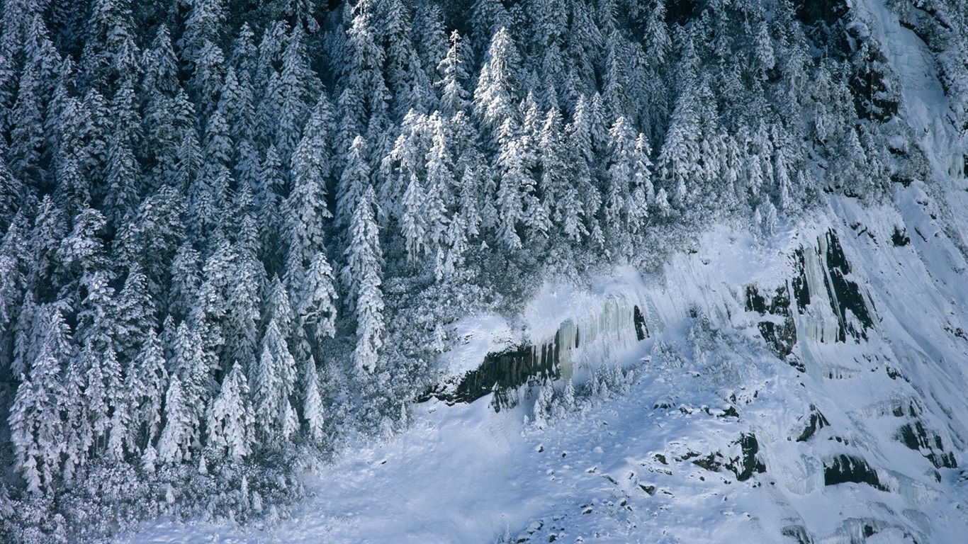 冬天雪景壁纸5 - 1366x768