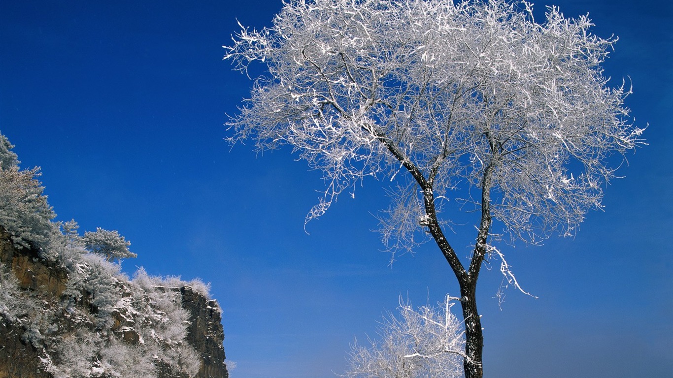 冬天雪景壁纸9 - 1366x768