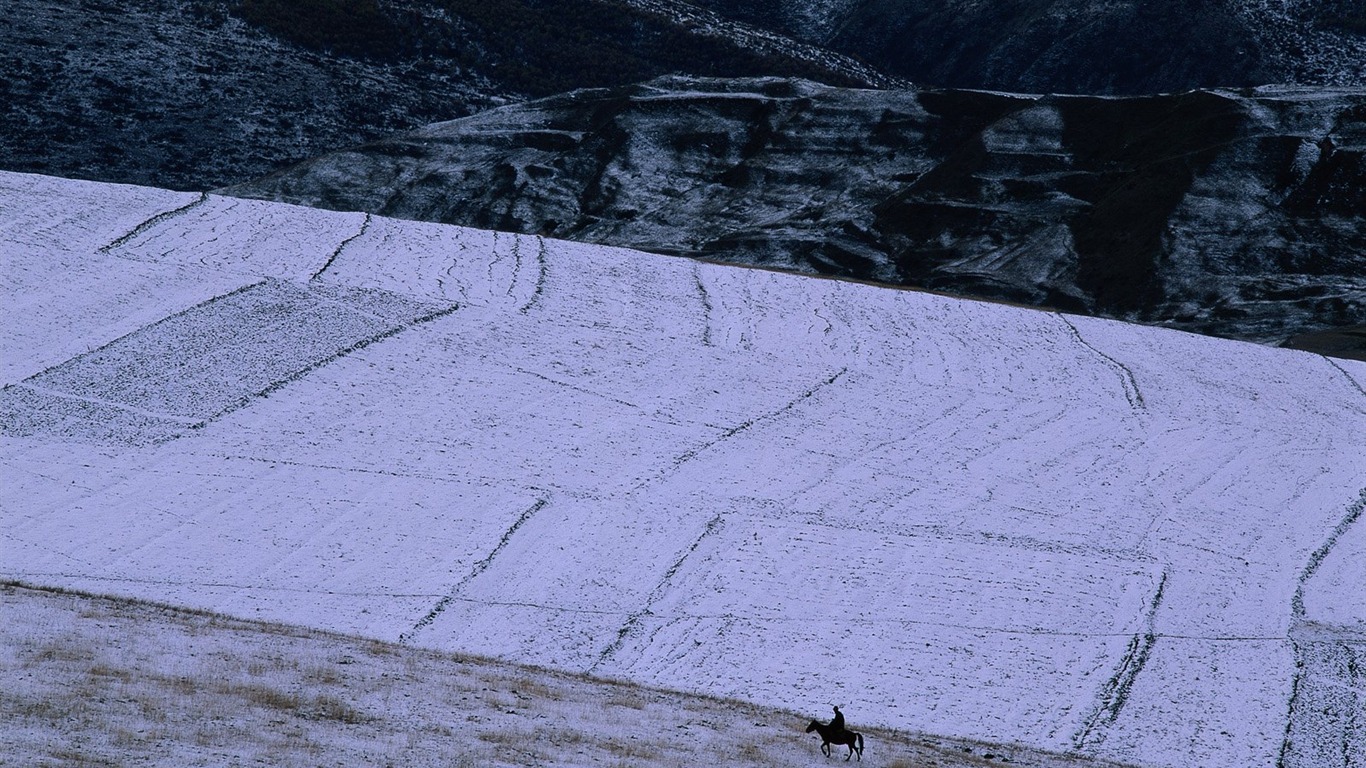 冬天雪景壁纸32 - 1366x768