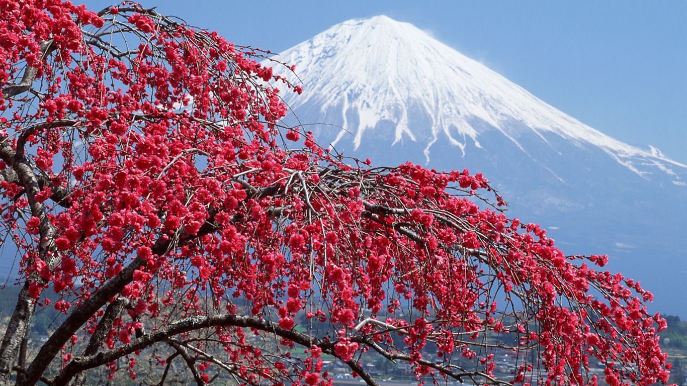 Mount Fuji, Japonsko tapety (1) #1 - 1366x768