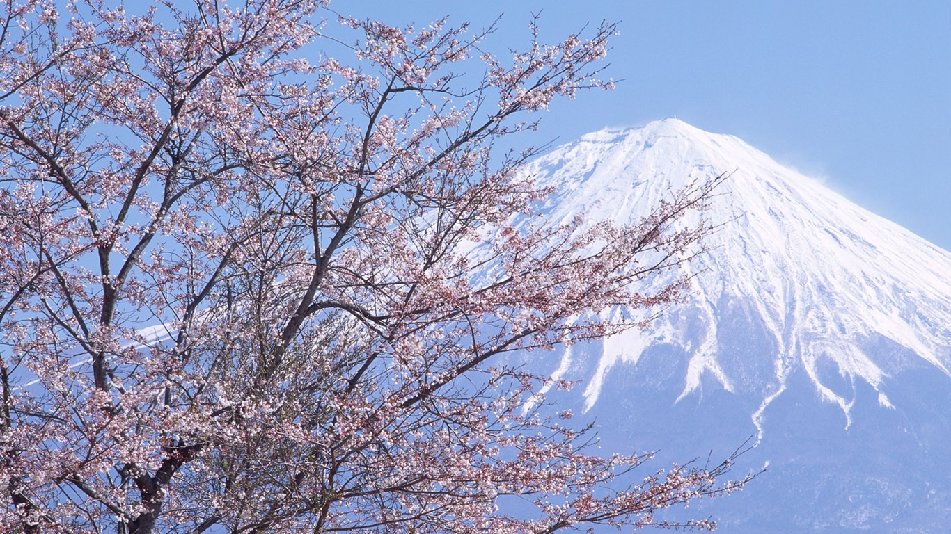富士山、日本の壁紙 (2) #3 - 1366x768